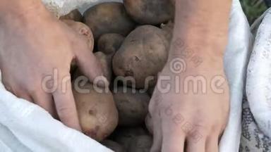 男人的手碰土豆。袋装大土豆。土豆大丰收近景