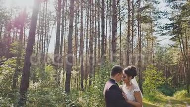 新娘和新郎温柔地拥抱在森林里的松树之间。 太阳。 <strong>结婚纪念</strong>日。 瞬间