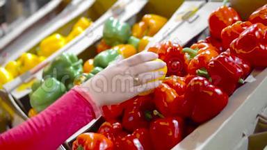 手拿几个五颜六色的胡椒在市场上一个接一个地拿着。 密切挑选观念，购买优质水果或
