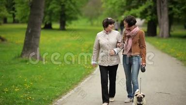 年轻的布鲁内特短发和美丽的女人正在<strong>公园里</strong>和狗<strong>散步</strong>。 春天和宠物一起<strong>散步</strong>。