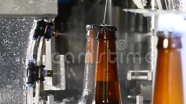 在传送带中清洗完整的啤酒瓶。 玻璃瓶厂。 工业生产线上的瓶子。 啤酒棕色玻璃瓶