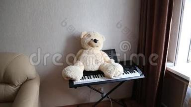 泰迪在钢琴上