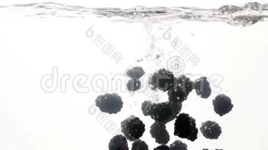 特写4k视频，成熟的黑莓在白色背景下落入水中