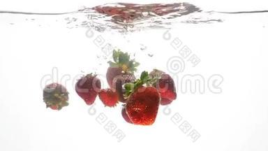 特写慢条斯理的视频，新鲜成熟的草莓在白色背景下<strong>落入水中</strong>