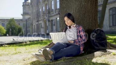 大学生坐在校园树下，用笔记本电脑，写期末论文
