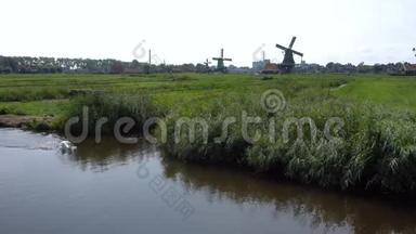 白天鹅游泳在<strong>香奈儿</strong>的Zaanseschans村，荷兰。 阿姆斯特丹附近的旅游村