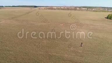 年轻人放风筝，和他一起跑过田野。 空中全景。