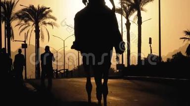 <strong>骆驼</strong>上的人<strong>剪影</strong>沿着城市的道路进入日落。 埃及。 慢动作