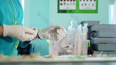 在实验室里，实验室工作人员戴着手套学习、检查发芽、生根的玉米种子。 科学实验室
