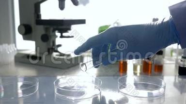 药品生产实验室，用手<strong>放入</strong>橡胶手套，将试剂从试管倒<strong>入</strong>实验台上的培养皿中