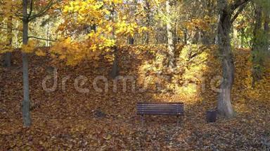 秋天的季节，公园秋树下空荡荡的长凳