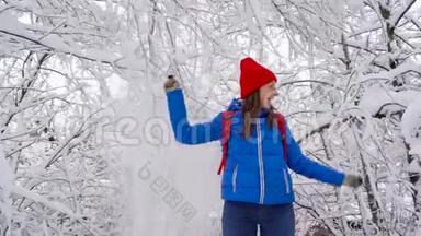 女人在玩-她在摇动树枝，雪落在她身上。 晴朗的晴朗的霜冻天气。 慢慢