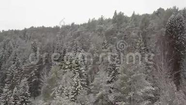 欧洲白雪皑皑的松树上天空中的美丽无人机表演