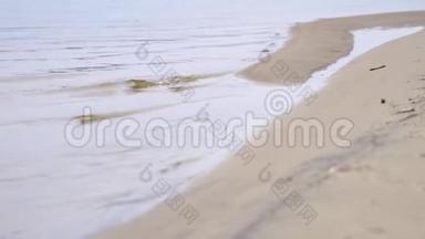 海浪的海滩背景。库存录像。沙滩上的静水