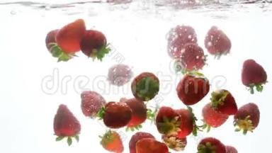 特写4k视频，新鲜草莓在白色背景下<strong>落入</strong>水中