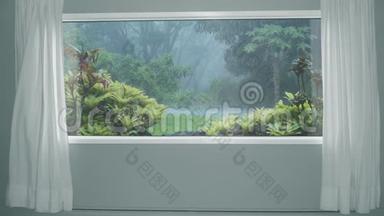 从带窗帘的窗户看森林里的热带雨林。 背景板，彩色关键视频背景