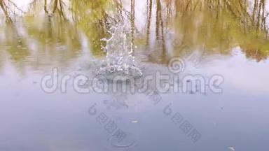 水面背景有树木反射。 一颗鹅卵石<strong>落入水中</strong>，溅起水花
