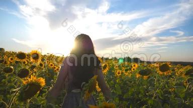 美丽的女孩站在黄色的向日葵田上举手。 年轻快乐的女人在花丛中举起双臂