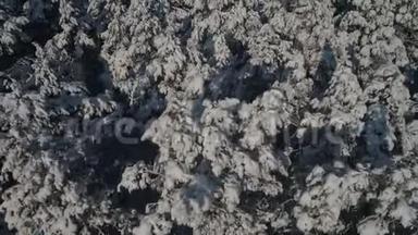 冬林空中摄影.. 白雪覆盖的松树的俯视图。 大雪中<strong>高大</strong>的<strong>树木</strong>