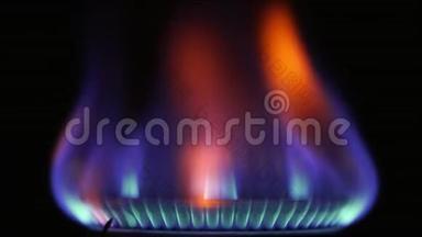 煤气炉的火焰。 炉子上煤气燃烧的火焰. 黑色背景。