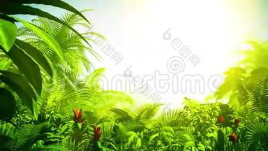 生长的热带森林，三维动画