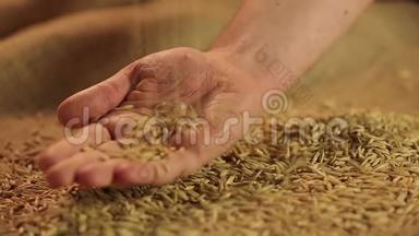 农民手中的燕麦种子、农产品质量标准