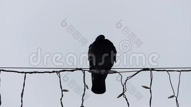 一只孤独的鸽子坐在电线上。