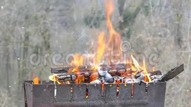 烧了烤架里的柴火。 在火里烧煤。 壁炉里的热气。 冬天野餐。