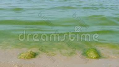 生态问题，海洋蓝藻。沙滩不适合游泳。海浪的慢运动