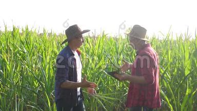 团队合作智慧农牧概念慢动作视频.. 两个男人农艺师两个农民胜利握手团队合作