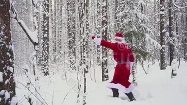 快乐的桑塔克劳斯在冬日的森林里跳跃、跳舞、<strong>欢庆</strong>。慢动作