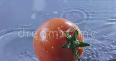 红色成熟多汁的番茄落入水中，翻滚。 慢动作2k视频推240fps
