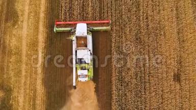 空中景色夏季小麦收获。 <strong>田间劳动</strong>的收割者.. 联合收割机农用机器
