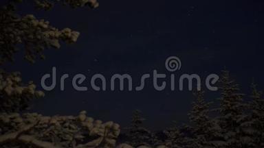 白雪皑皑的冬季云杉树林，满天繁星，拍摄<strong>星星延时</strong>视频高清