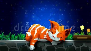 猫漫画睡在墙上在美丽的天空之夜，最好的循环<strong>视频背景</strong>，让睡眠，平静放松