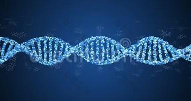 3DDNA与氨基酸旋转