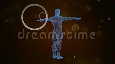 3D阿凡达显示全息投影的人体旋转在无缝环。