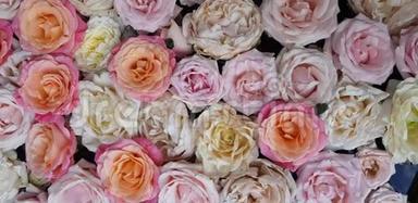玫瑰的背景图像。 彩色新鲜粉彩玫瑰。 粉红色和白色玫瑰和绣球花。 玫瑰的背景图像。 彩色f