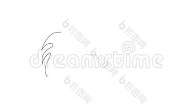 魔芋植物的叶子。 自画简单动画的一行画.. 用手画，白线上的黑线