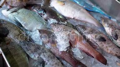 新鲜海鲜、不同海冰鱼于街市集卖品