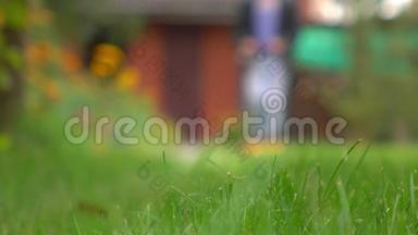绿草和带着割草机的人走近摄像机。 4Kboke背景视频