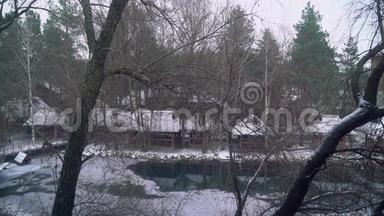 乌克兰村庄的<strong>湖面</strong>上下雪，雪花飘落，<strong>湖面</strong>周围树木生长