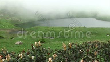 森林里湖上的薄雾。水面上有雾。森林湖雾蒙蒙的早晨。森林湖晨雾