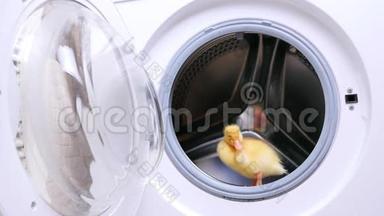 空旷的洗衣机里，一只黄色的小可爱小鸭子坐着.. 他想<strong>跳出</strong>来