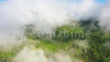 飞越一片令人惊叹的<strong>雨林</strong>，日出时带雾在<strong>雨林</strong>上空鸟瞰.. 4K空中录像，