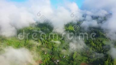 飞越一片令人惊叹的雨林，日出时带雾在雨林上空鸟瞰.. 4K空中录像，