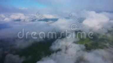 飞越一片令人惊叹的雨林，日出时带雾在雨林上空鸟瞰.. 4K空中录像，