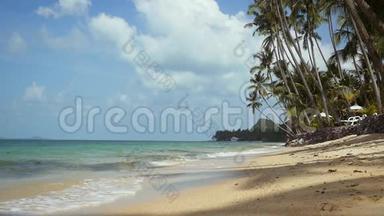 阳光灿烂的<strong>海滨沙滩</strong>和棕榈树。 蓝天热带岛屿度假田园背景