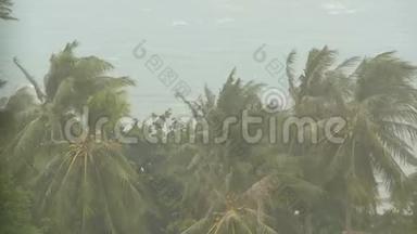 自然灾害飓风期间的海滨景观。 强烈的<strong>旋风</strong>吹拂椰子树。 热带风暴