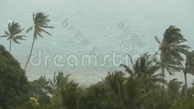 自然灾害飓风期间的海滨景观。 强烈的<strong>旋风</strong>吹拂椰子树。 热带风暴